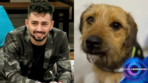 Bambino y Bigotes de Gran Hermano.