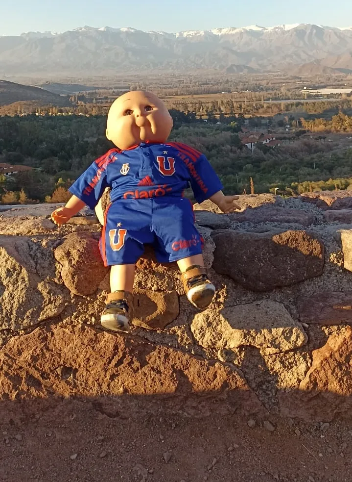 Pelón con el Santuario de Los Andes tras él (Instagram @pelon.aconcagua_jrs )