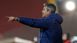 "Creo que hay que mantener a Mauricio Pellegrino"