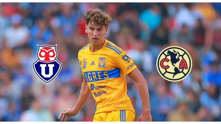 La continuidad de Lichnovsky en Tigres sigue en veremos.