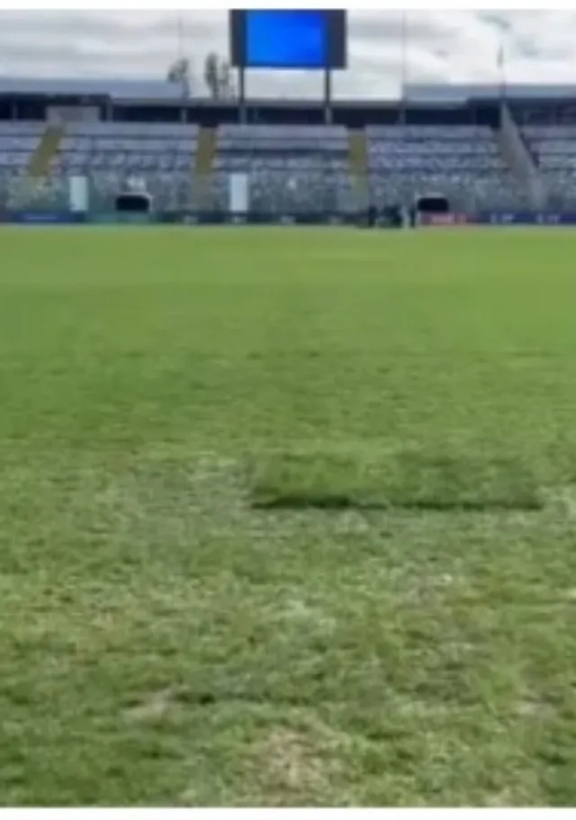 El estado de la cancha del Monumental (Captura)