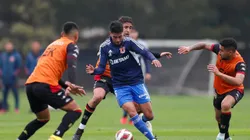 Pellegrino le da la confianza a joven valor azul