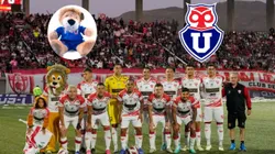 León Azul espera la ayuda del León de Atacama