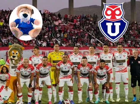 León Azul espera la ayuda del León de Atacama