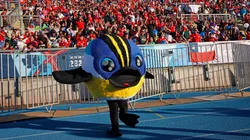 Fiu se ganó el cariño de los fanáticos y ahora renueva su stock para navidad