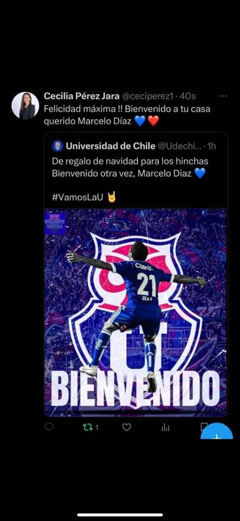 El fake en el que cayó Pérez en las redes | Foto: Captura