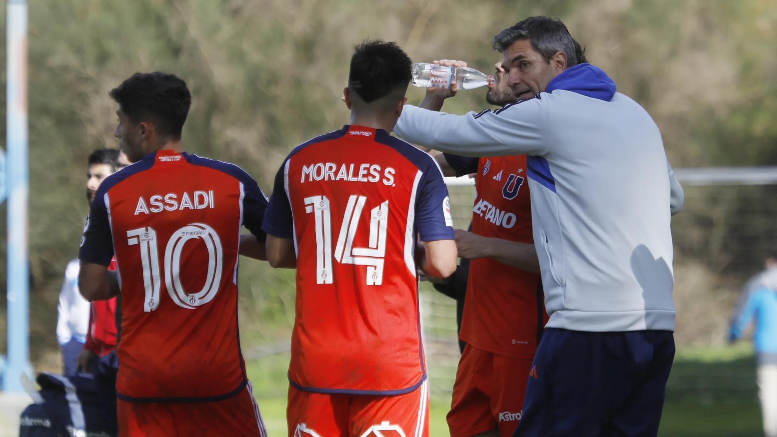 Pellegrino podría estar viviendo sus últimos días al mando de la U | FOTO: Eduardo Fortes/Photosport