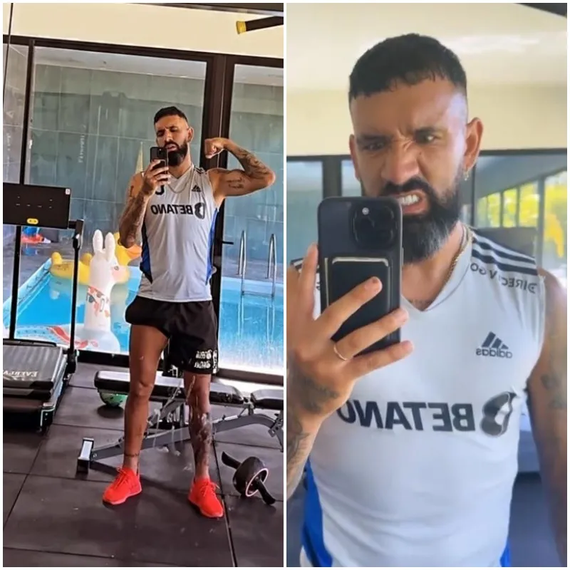 Las publicaciones de Ronnie (Instagram)