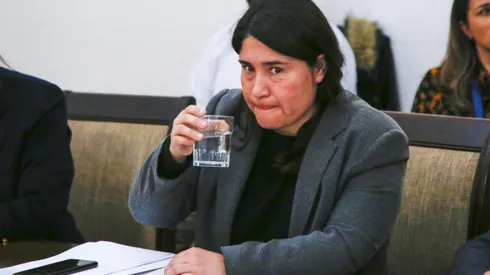 La jefa de Estadio Seguro contestó al malestar de Colo Colo. (Foto: Marcelo Hernández/Aton Chile)