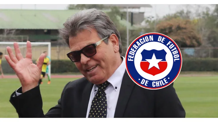Peineta se ilusiona con regreso de emblema a La Roja.