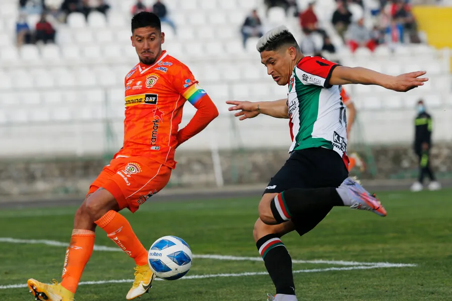 Palestino recibirá a Cobreloa sin hinchas visitantes en La Cisterna. (Foto: Photosport)