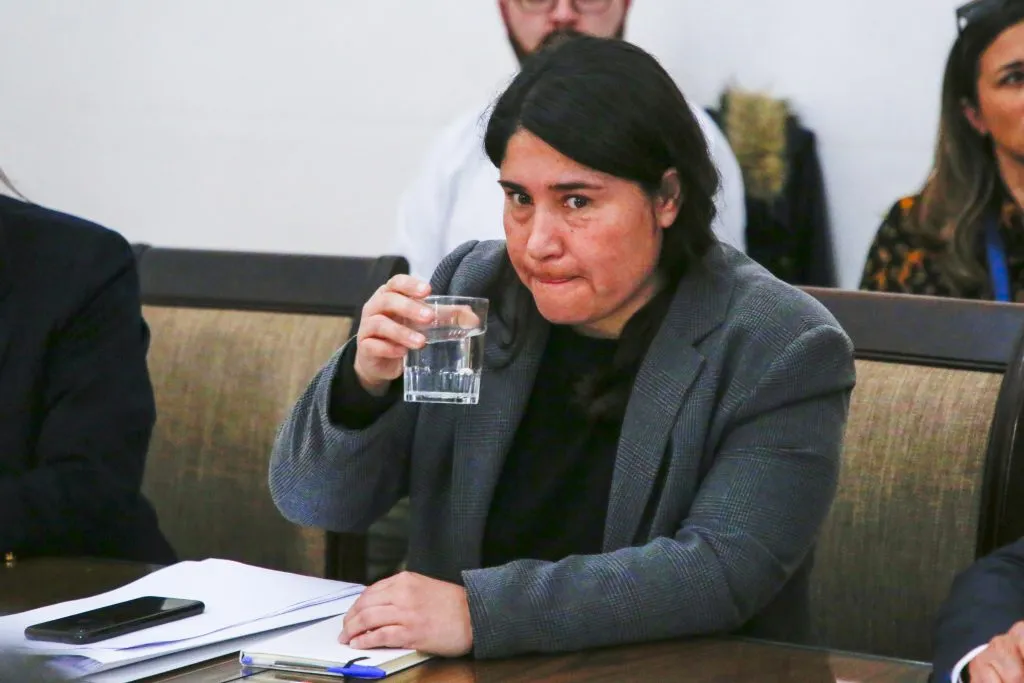 Venegas es una de las más criticadas por los hinchas nacionales | FOTO: Marcelo Hernandez/Aton Chile