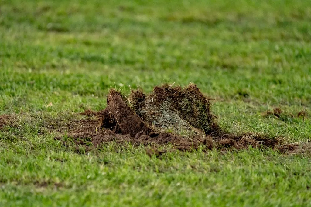 Así terminó la cancha del Estadio Monumental tras el partido de Colo Colo vs Sportivo Trinidense del pasado miércoles 13 de marzo, por la Fase 3 de Copa Libertadores. (Foto: Guillermo Salazar)