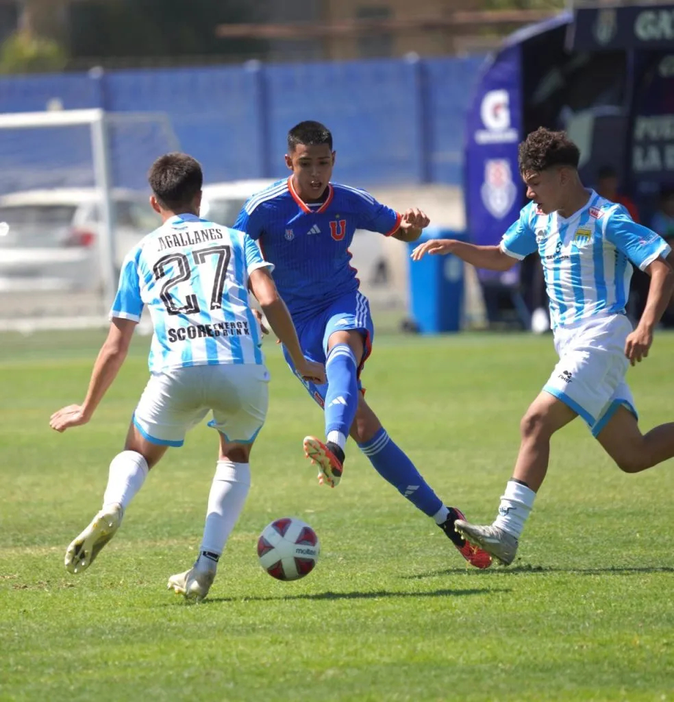 Canelo sigue llamando la atención en la Universidad de Chile | FOTO: La Magia Azul