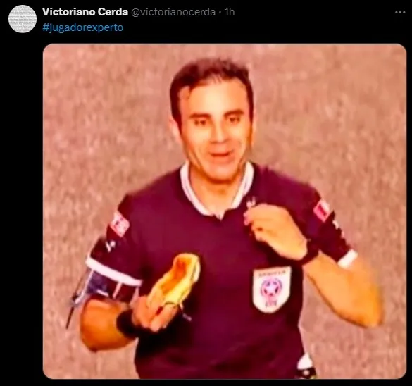 La publicación de Cerda (X)