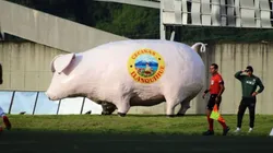 El gran yetazo del Chancho Lorenzo en Puerto Montt
