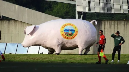 El gran yetazo del Chancho Lorenzo en Puerto Montt
