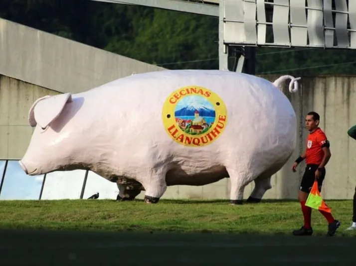 El gran yetazo del Chancho Lorenzo en Puerto Montt