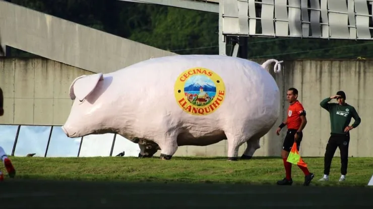 El gran yetazo del Chancho Lorenzo en Puerto Montt