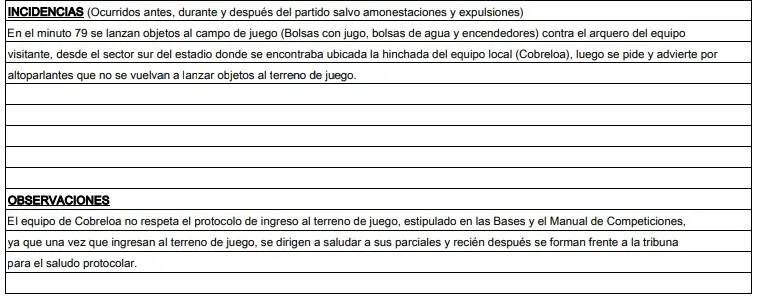 El informe del árbitro Gamboa (Captura)