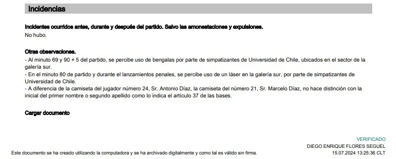 El informe de Diego Flores (Captura)