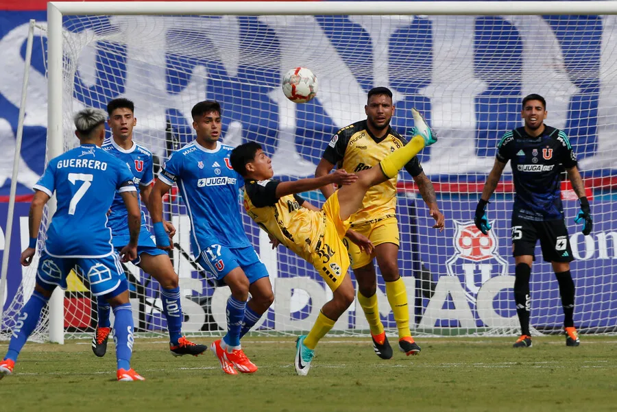 Azules y piratas prometen un partido de alto vuelo (Photosport)