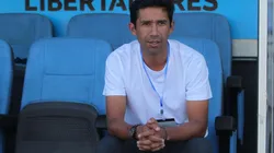 Nicolás Núñezno dirige desde que dejó la banca de la UC (Foto: Potosport)