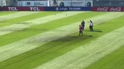 El video que circula del estado del césped en el Monumental.