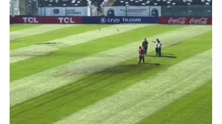 El video que circula del estado del césped en el Monumental.