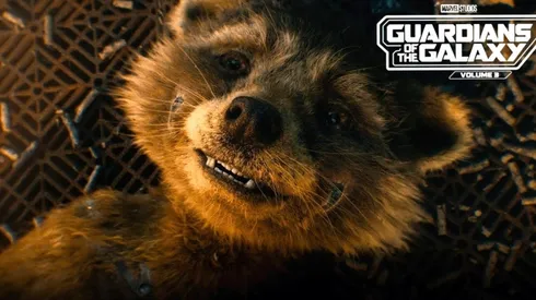 Un joven Rocket se podrá ver en Guardianes de la Galaxia Vol. 3.