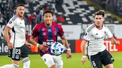 El cuadro albo es uno de los líderes de su grupo