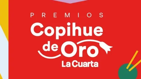 Los organizadores del Copihue de Oro aún tienen pendiente anunciar cuándo y donde será la repartija de premios.