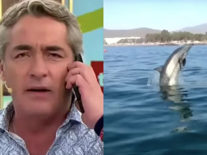 Tu Día atrae lluvia de denuncias a Canal 13