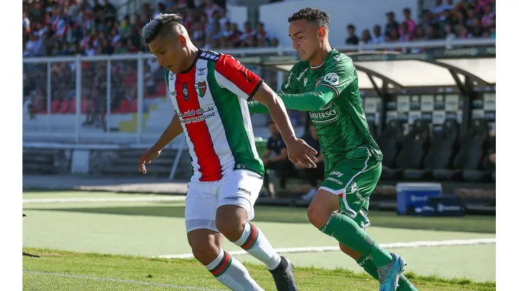 Audax y Palestino esperan a sus rivales en el sorteo de la Copa Sudamericana.