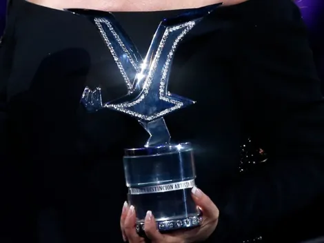 ¿Qué otros artistas han recibido Gaviota de Platino?