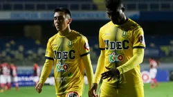 Sebastián Molina y Job Bogmis deberán esperar para debutar con Universidad de Concepción