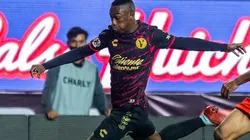 Castillo milita actualmente en los Xolos de Tijuana