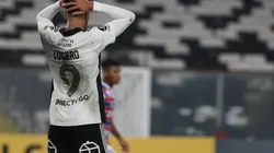 Mario Galindo no quiere al Gato Lucero de vuelta