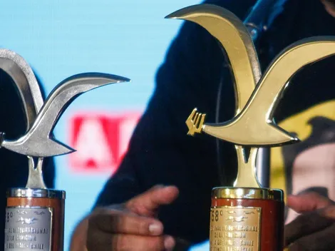 ¿Quiénes serán los artistas del Festival de Viña 2023?