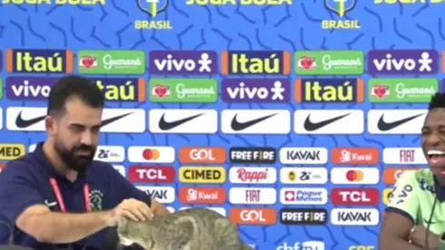 Brasil recibe represalia por botar un gato en conferencia de prensa