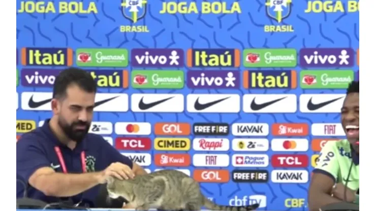 Brasil recibe represalia por botar un gato en conferencia de prensa
