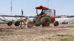 La cancha del recinto de Macul cambia su césped
