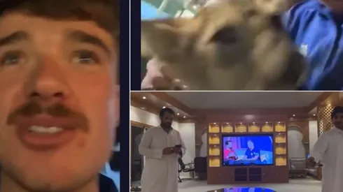 Los hinchas ingleses causaron risas en las redes sociales