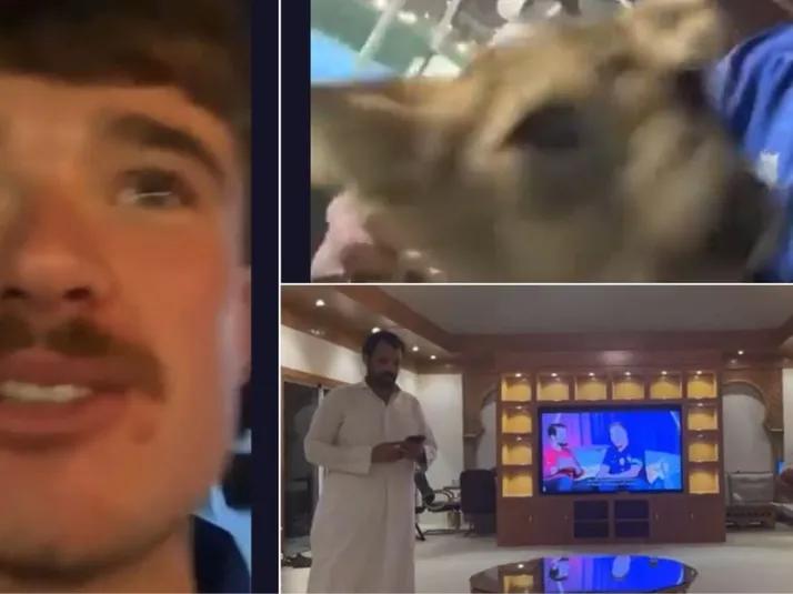 Video: Hinchas ingleses iban en busca de cervezas y terminaron jugando con un león