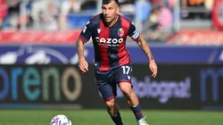 Bologna recibe al Sassuolo por la fecha 15 de la Serie A.