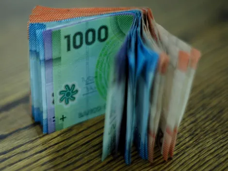 ¿Quiénes reciben el Ingreso Mínimo Garantizado?