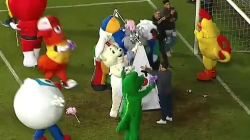 La carrera la ganó el pollo 'Gollito'