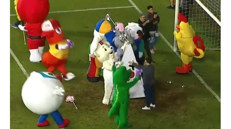 La carrera la ganó el pollo 'Gollito'
