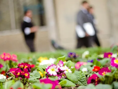 ¿Cuándo y a qué hora inicia la primavera en Chile?