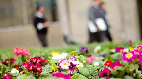 Conoce la hora exacta en que llega la primavera en Chile.